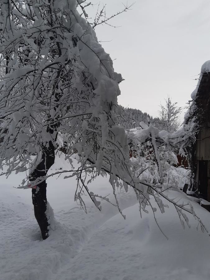 Гостевой дом GUESTHOUSE ARQI Khulo-6